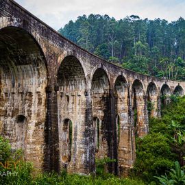 nine arch bridge railway viaduct ella sri lanka